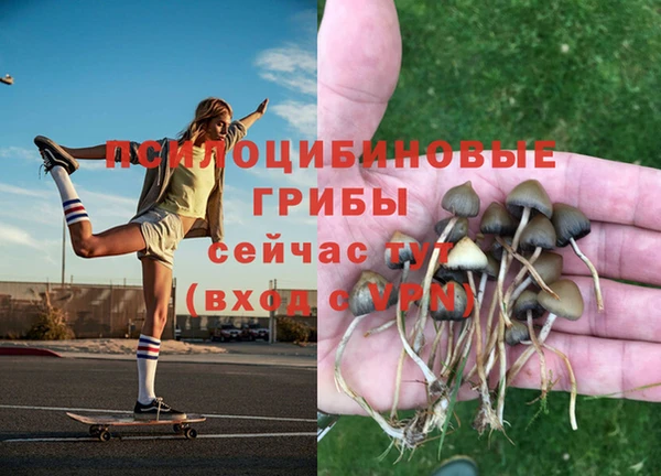 тгк Алексеевка