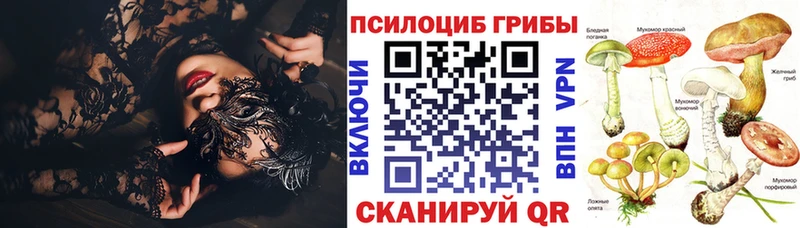 сайты даркнета телеграм  Краснозаводск  Псилоцибиновые грибы мицелий 
